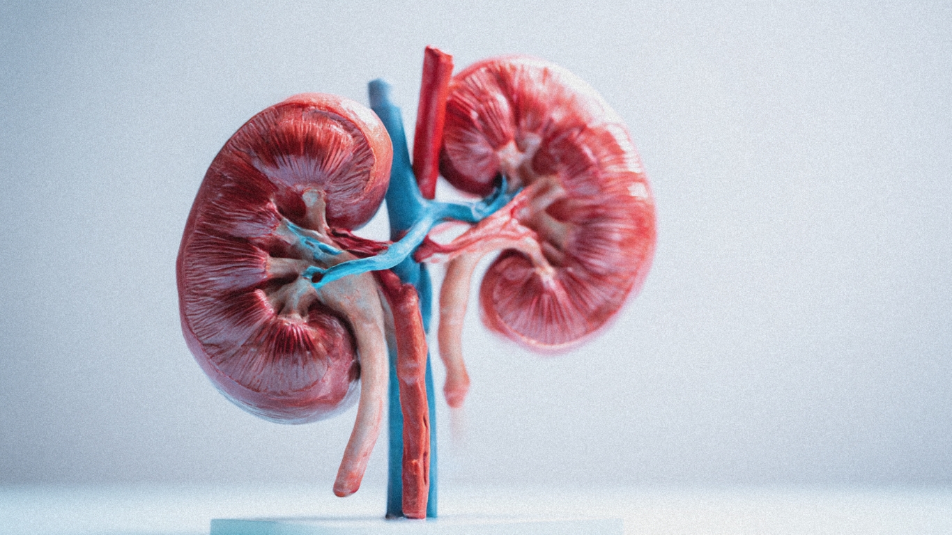 Roche's Gazyva Wins Phase 3 Kidney Battle, Sanofi Eyes Ocular Therapeutix Ahead of Binary Data